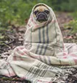 Poceni veterinarska postaja Ljubljana