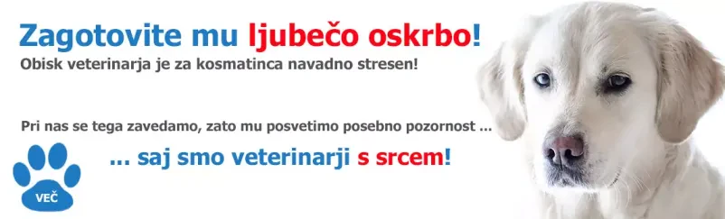 Zdravljenje živali na Veterinarski postaji Ljubljana