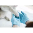Veterinarska postaja Lendava d.o.o.