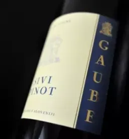 Vino gaube