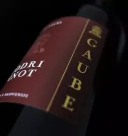 Vino gaube