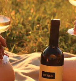 Vinoteka vipavska dolina