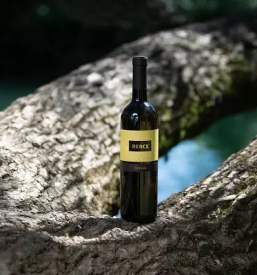 Vinoteka vipavska dolina