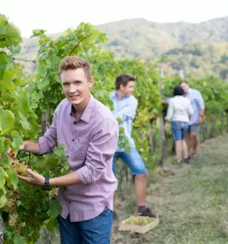 Vinoteka vipavska dolina