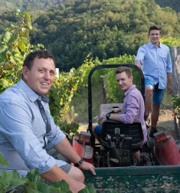 Vinoteka vipavska dolina