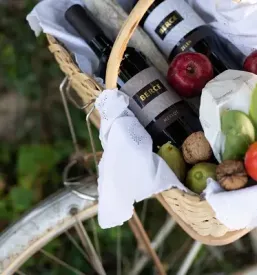 Butična vinoteka Vipavska dolina