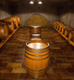 Mastnak and Frelih winery Posavje, Slovenia