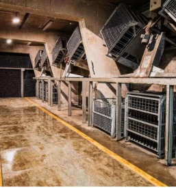 Vinske degustacije Bizeljsko