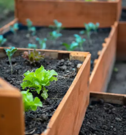 Visoke grede po narocilu slovenija