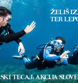 Poceni vodeni potapljaški potopi Koper, Obala