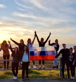 Vpis srednja gozdarska in lesarska sola postojna