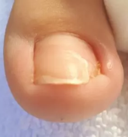 Vrascen noht savinjska