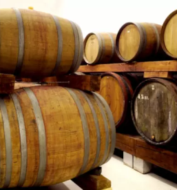 Vrhunsko domače primorsko vino