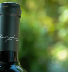 Vrhunska rdeča vina Brda, Gorišča