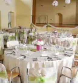 Vrhunske pice Goriška