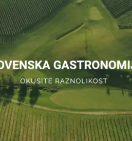 Vrhunska slovenska vina savinjska