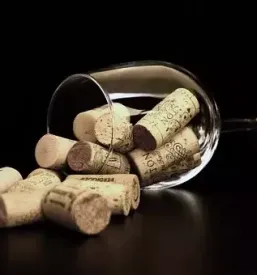 Vrhunska slovenska vina savinjska
