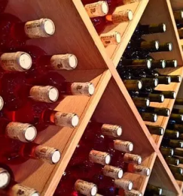 Vrhunska slovenska vina savinjska