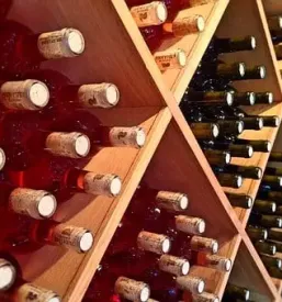 Vrhunska slovenska vina savinjska