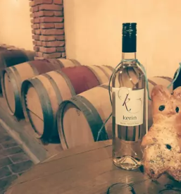 Vrhunsko vino Modra Frankinja