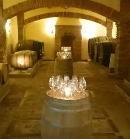 Modra frankinja Dolenjska