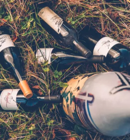 Vrhunska vina na goriskem