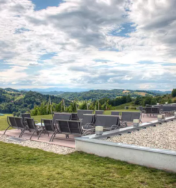 Vrhunska vina slovenija eu