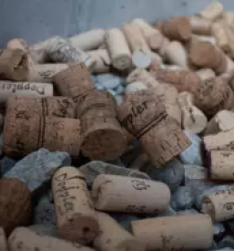 Vrhunska vina slovenija eu