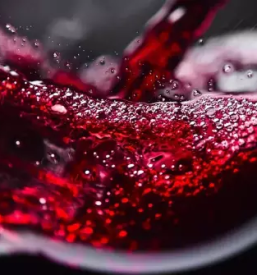 Vrhunska vina stajerska slovenija