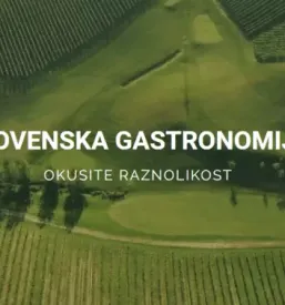 Vrhunska vina stajerska slovenija