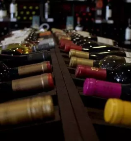 Vrhunska vina stajerska slovenija