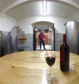 Beli pinot, bela vina Vipava