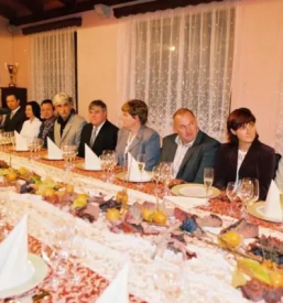 Vrhunska vina vipavska