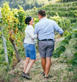 Vrhunska vina vipavska dolina