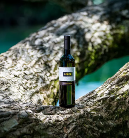 Vrhunska vina vipavska dolina