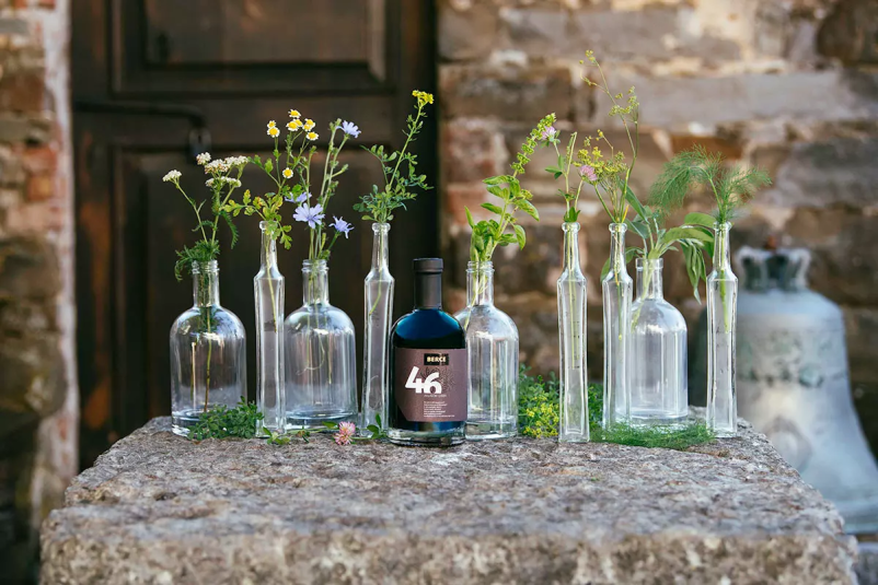 vinogradniška tradicija