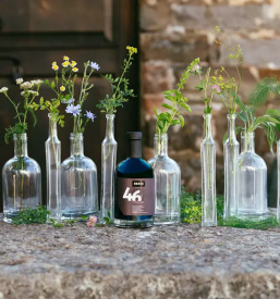 Balzamični kis Berce