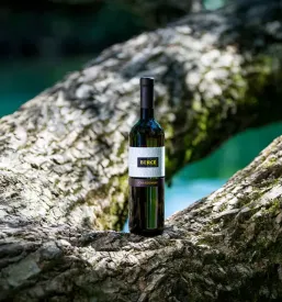 Vinski kis Berce