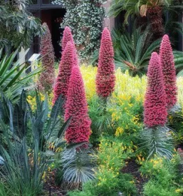 Vrt arboretum slovenija