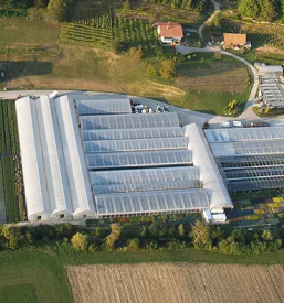 Vrtnarija celje okolica