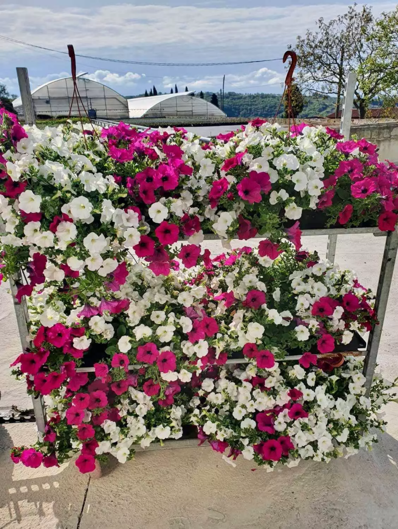 Vrtnarske storitve Sečovlje