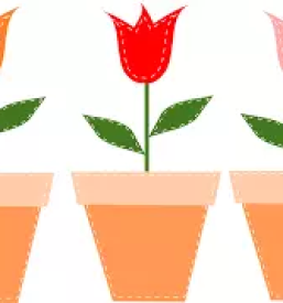 Vrtnarija v okolici Sečovelj