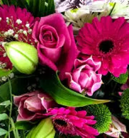 Vrtnarstvo in cvetlicarstvo slovenske konjice