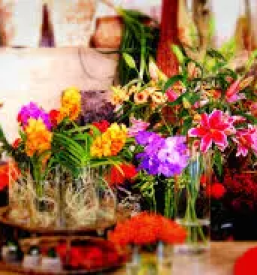 Vrtnarstvo in cvetlicarstvo slovenske konjice