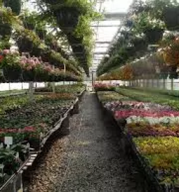 Vrtni center na gorenjskem