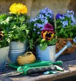 Vrtni center na gorenjskem