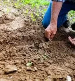 Vrtni center na gorenjskem