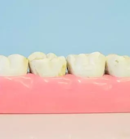 Vse za zobotehnike slovenija