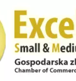 Vzdrzevanje parkov goriska