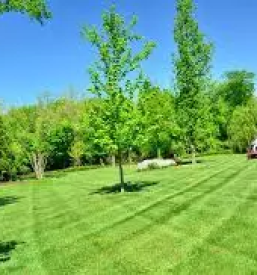 Vzdrzevanje parkov goriska